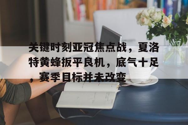 关键时刻亚冠焦点战，夏洛特黄蜂扳平良机，底气十足，赛季目标并未改变的简单介绍-电竞赛事