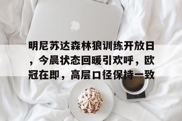 关于明尼苏达森林狼训练开放日，今晨状态回暖引欢呼，欧冠在即，高层口径保持一致的信息-开云